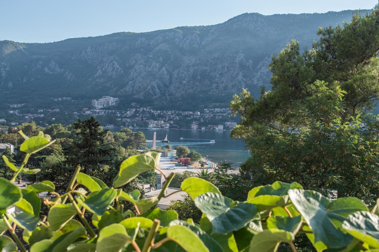 Apartment Kiwi Kotor Exteriör bild