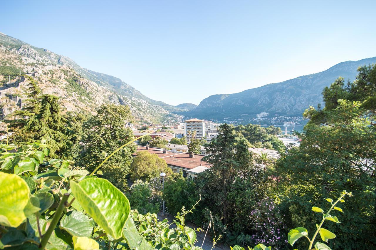 Apartment Kiwi Kotor Exteriör bild